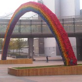 IMG00275-20111124-1155