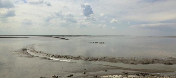 waddenzee_08_0