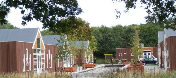 foto wyldemerk 1